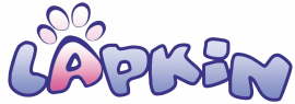 Lapkin